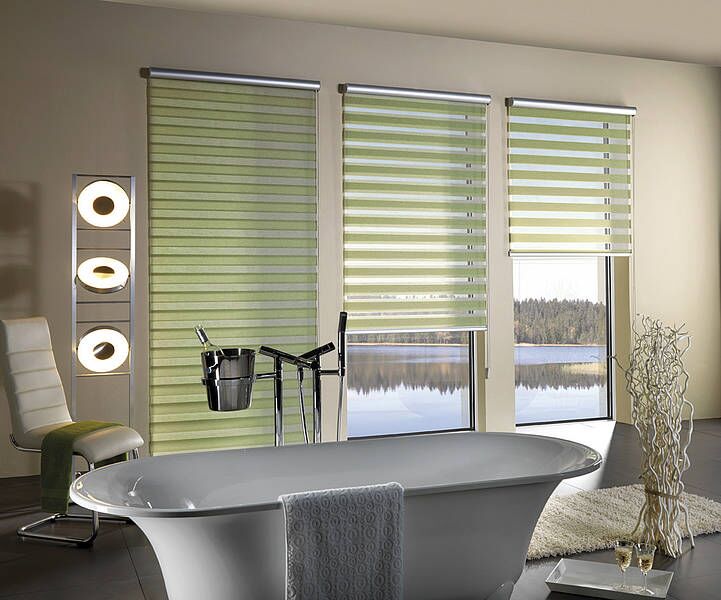 Twin žaluzie den a noc v kazetě - světl&aacute; a tmav&scaron;&iacute; zelen&aacute;