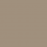 RAL 1019