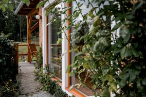 Dřevěná okna Oknotherm v detailu